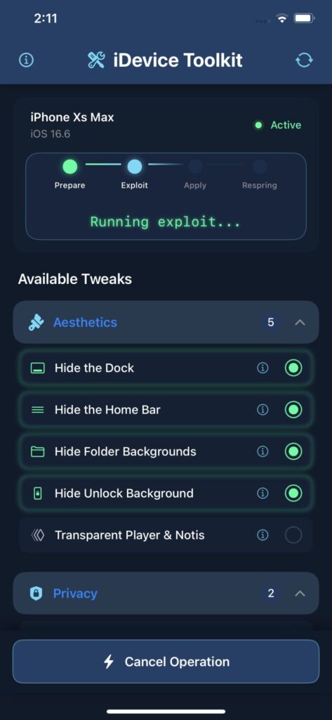 iDevice ToolKit app running the exploit by ian beer on iOS 18