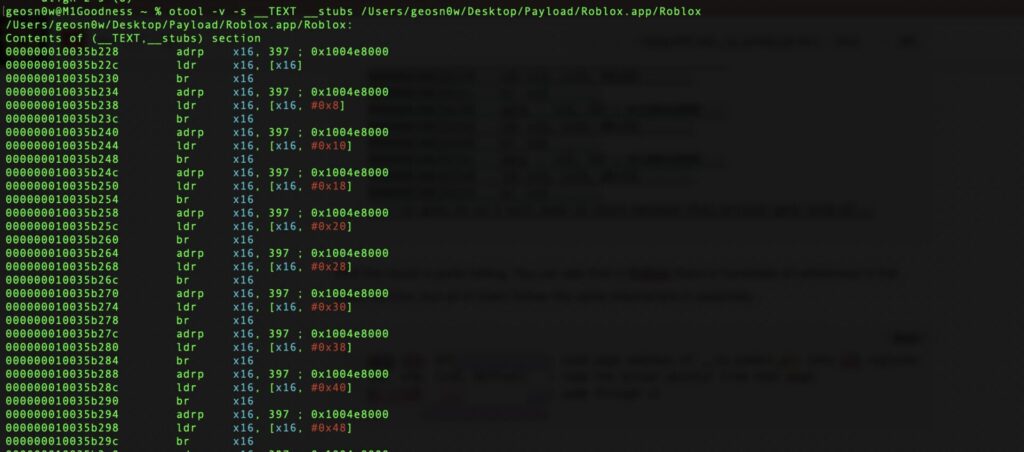Using otool we can actually see the stubs section of a Mach-O binary such as Roblox