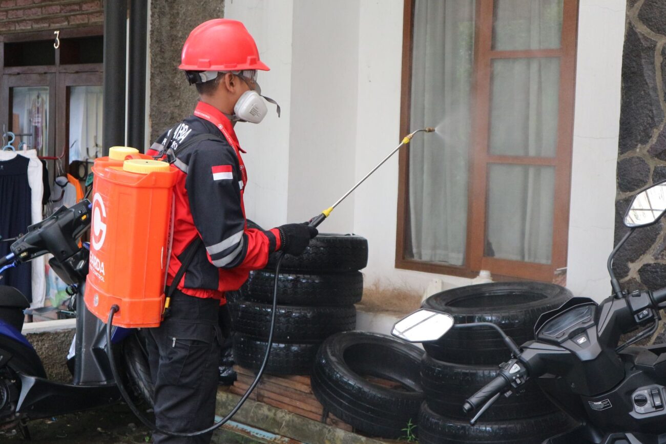 How Professional Pest Control Protects Homes Throughout Every Season